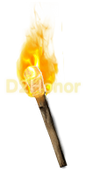 Diablo 2 Hellfire Torch